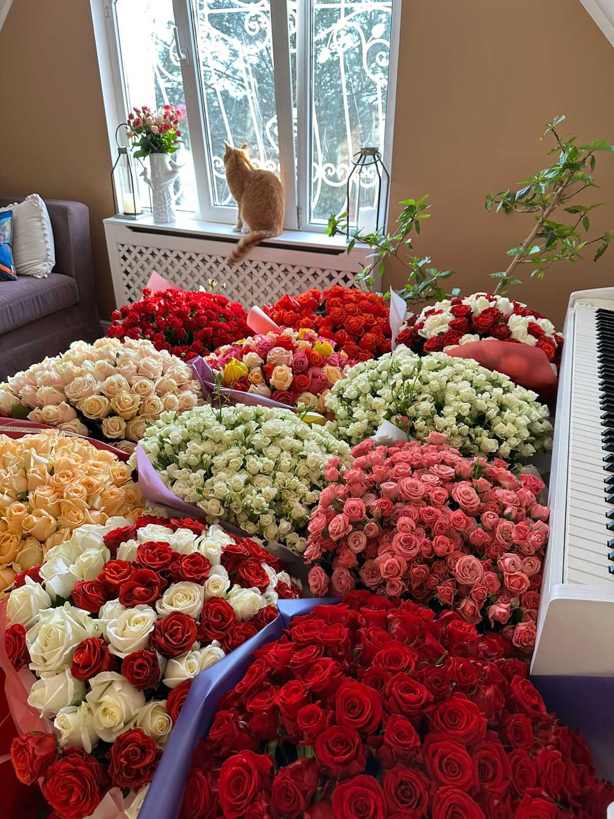 "Кімната щастя" 1111 троянд