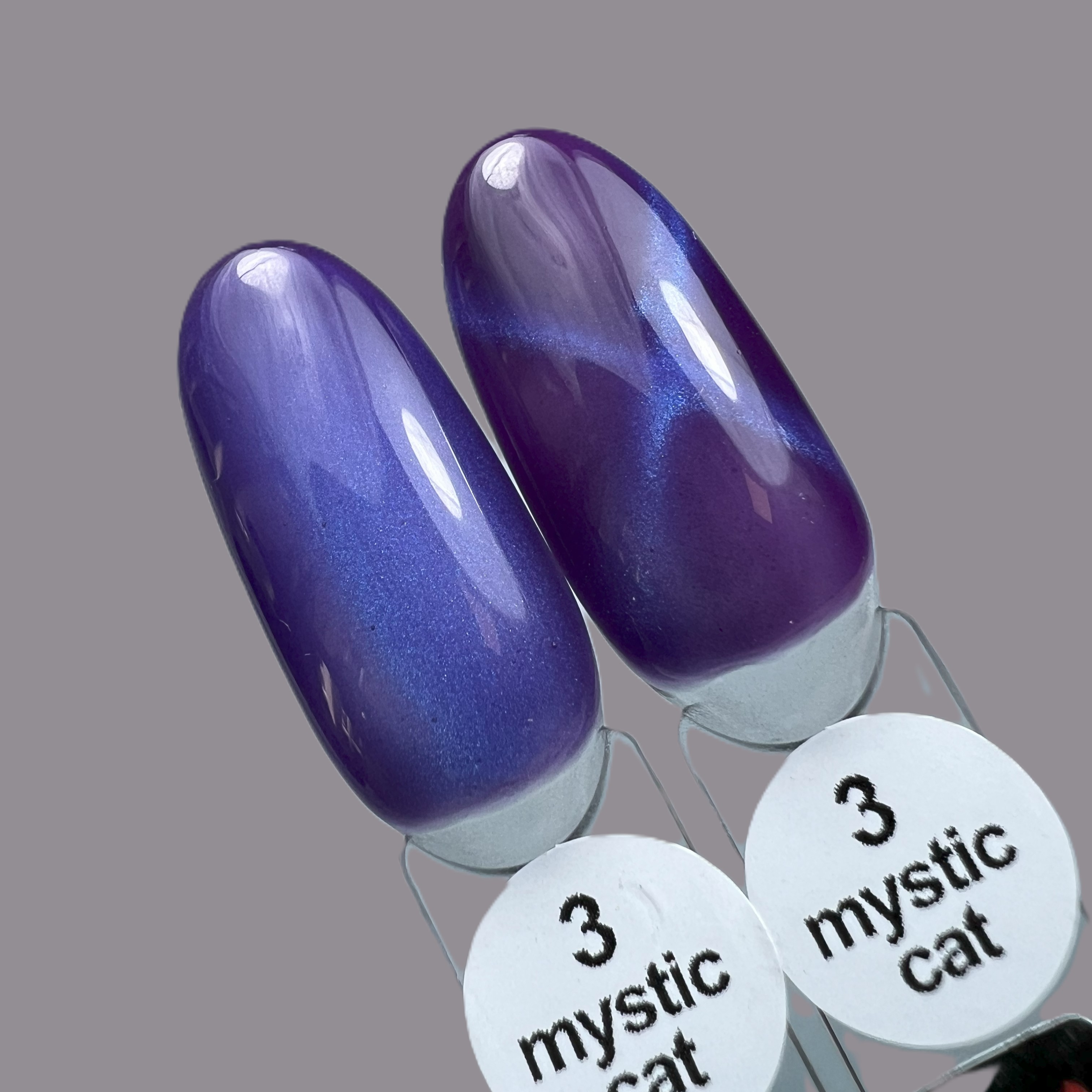 Cat Mystik 3