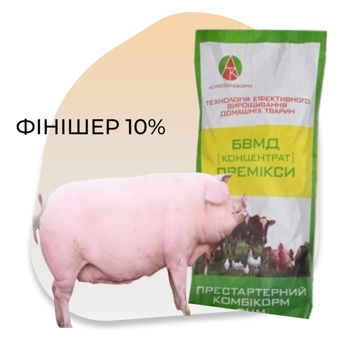 Фінішер 10%