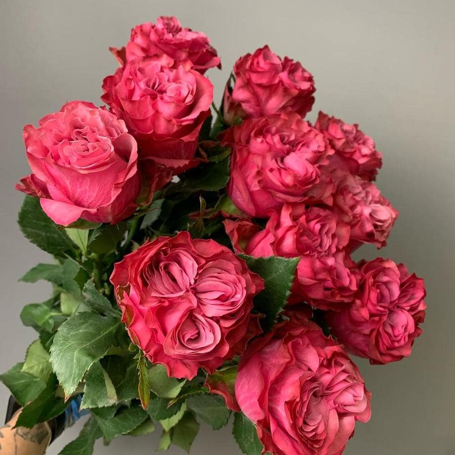 Кантрі Блюз (Country Blues)