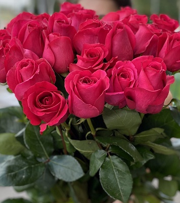 🌹 Троянда чайно-гібридна "Амалія"