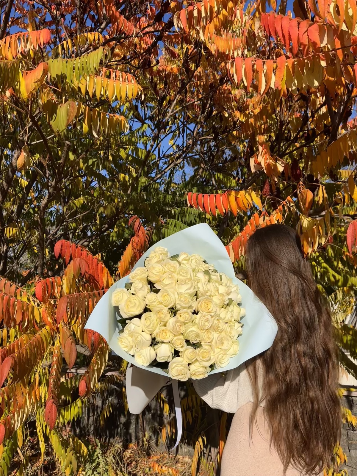 51 біла троянда "Аваланч"