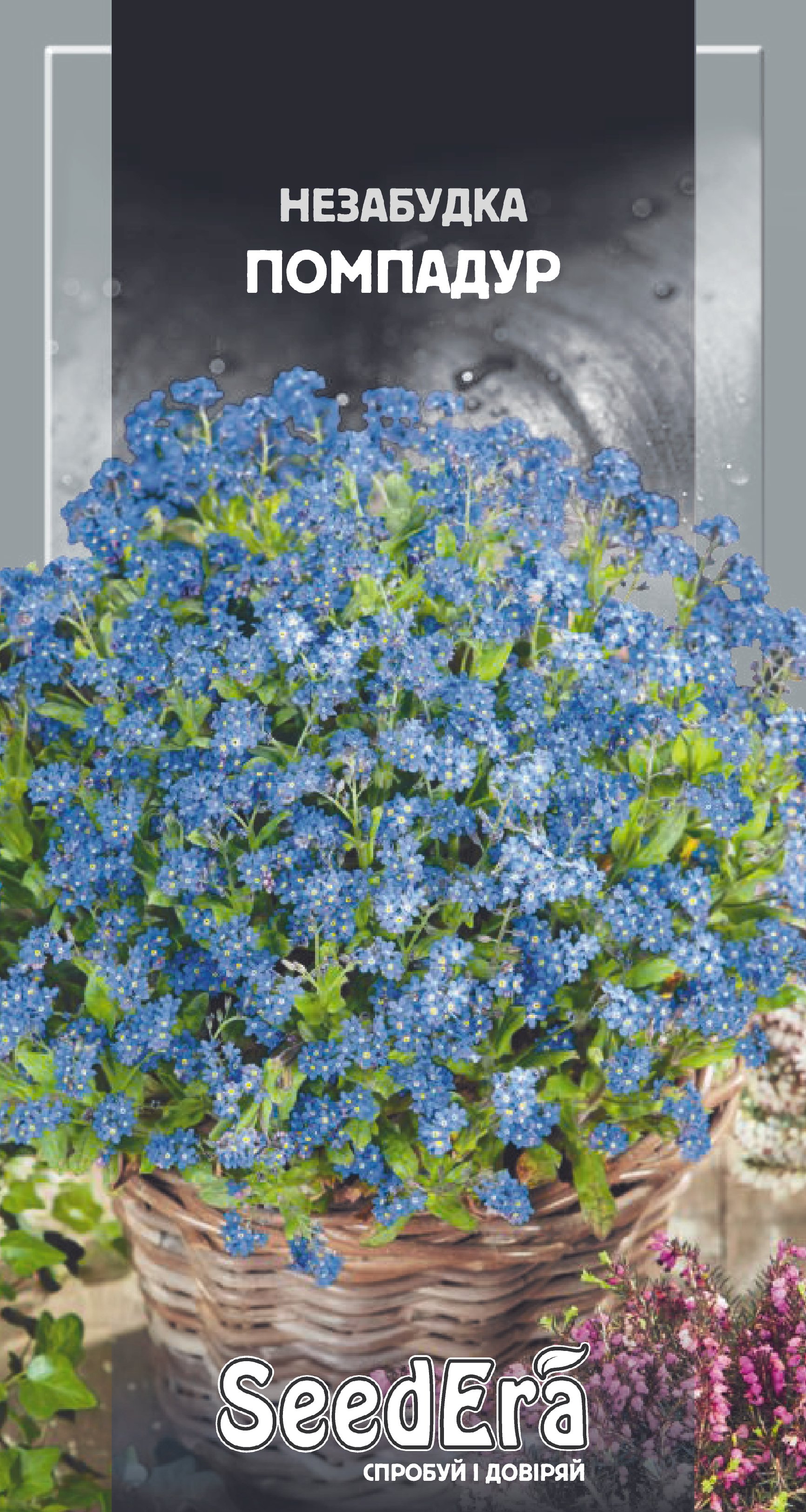 Hасіння Квіти Незабудка багаторічна Помпадур, 0,1 г