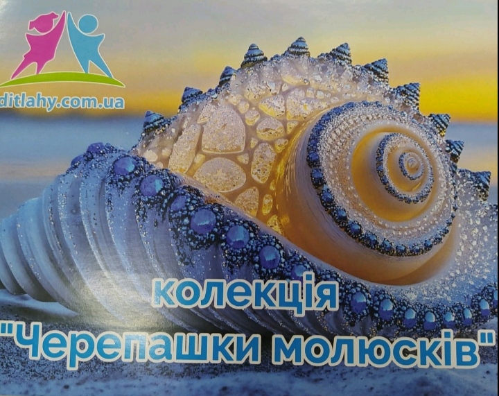 Колекція "Черепашки молюсків"