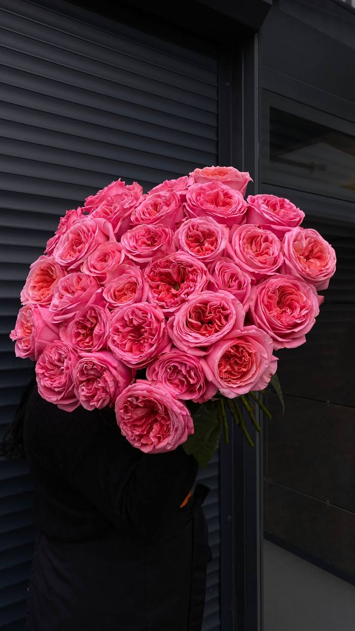 31 піоновидна троянда сорту Candy Expression