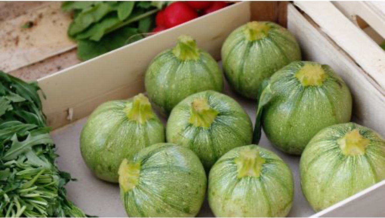 Кабачок колобок 3 г