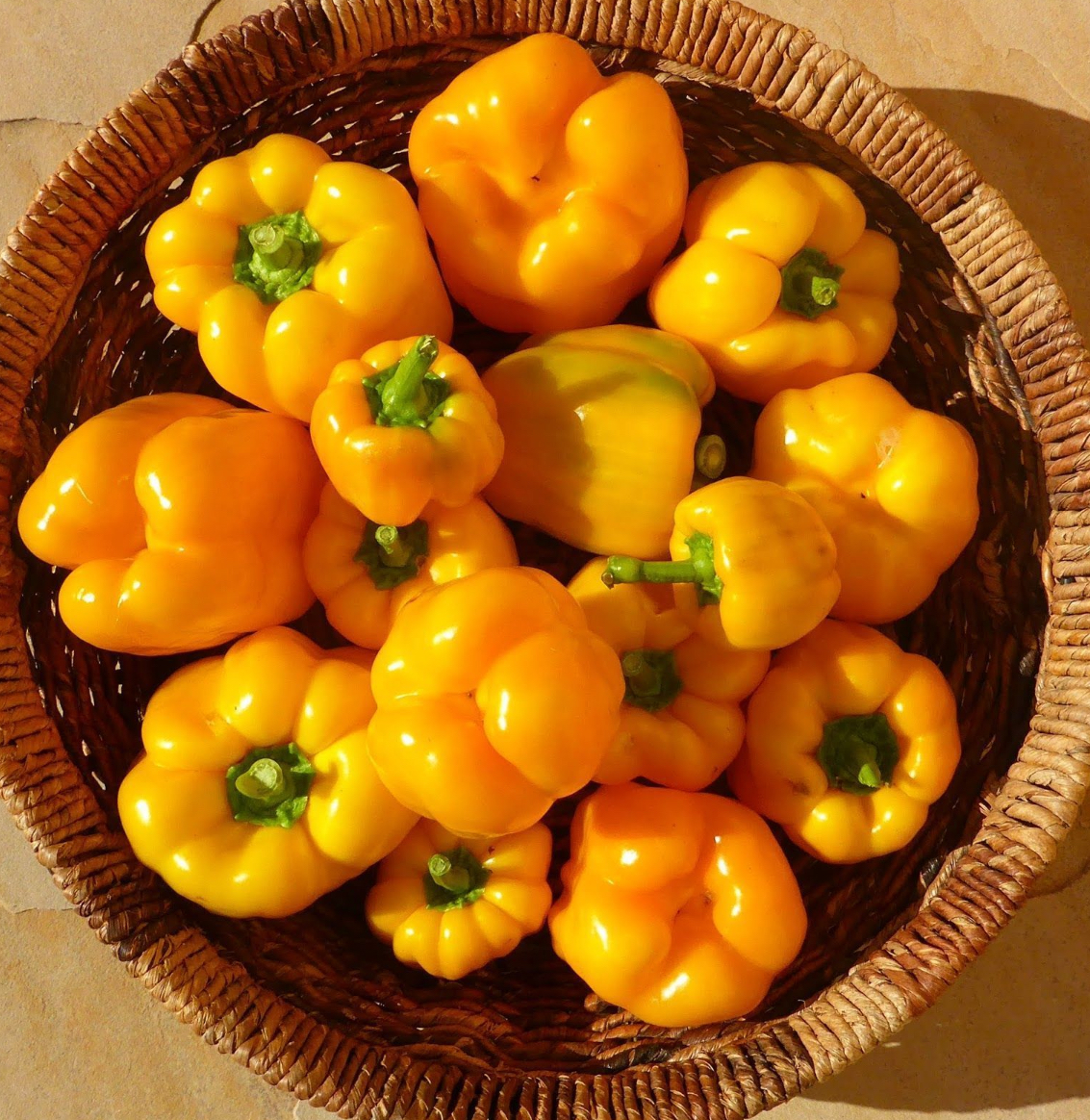 Перець тореадор