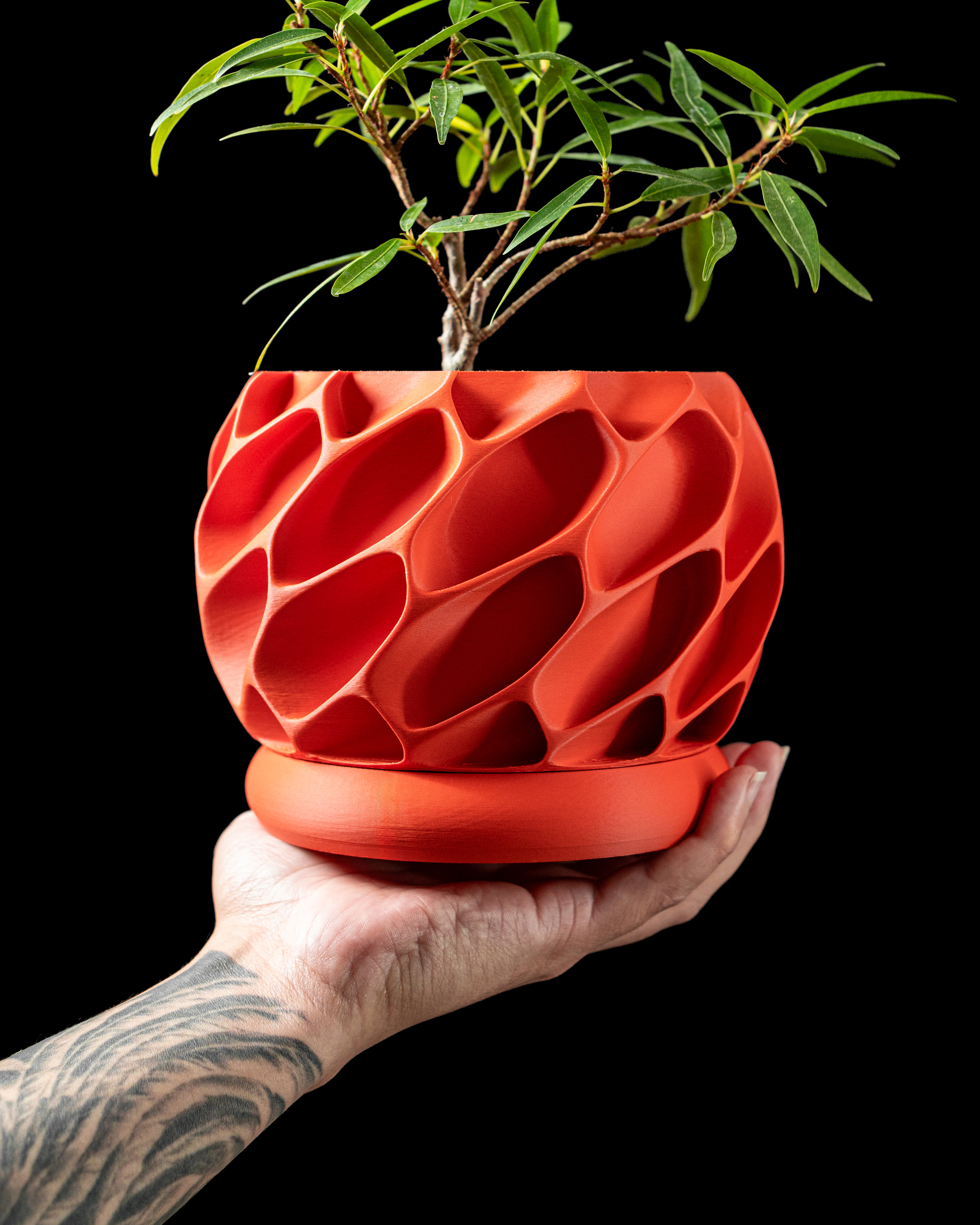 Exo Planter Pot – Modern 3D Printed Planter