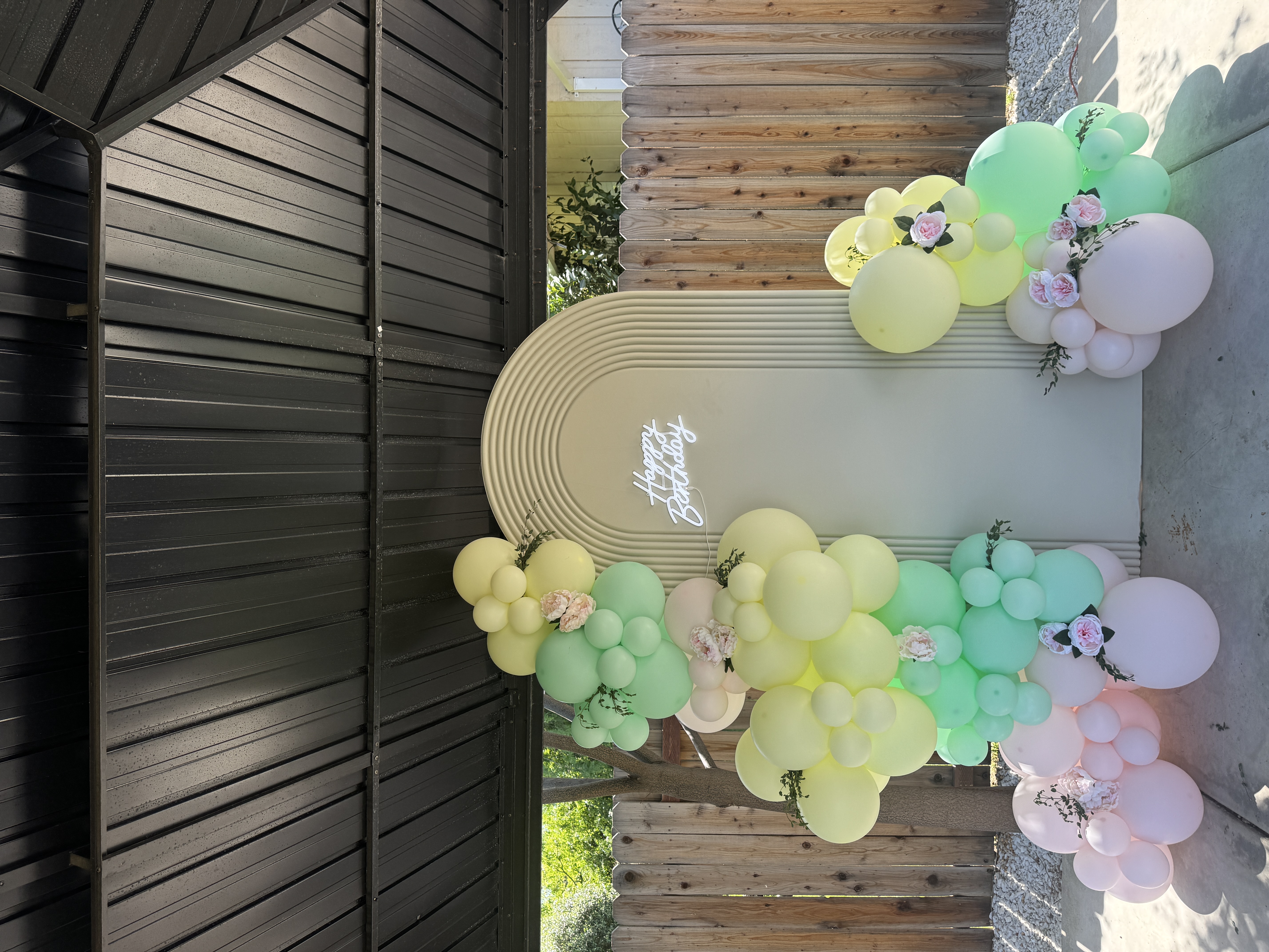 Balloon Backdrop