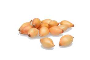 Цибуля-сіянка "Купідо" (Cupido) TOP ONION