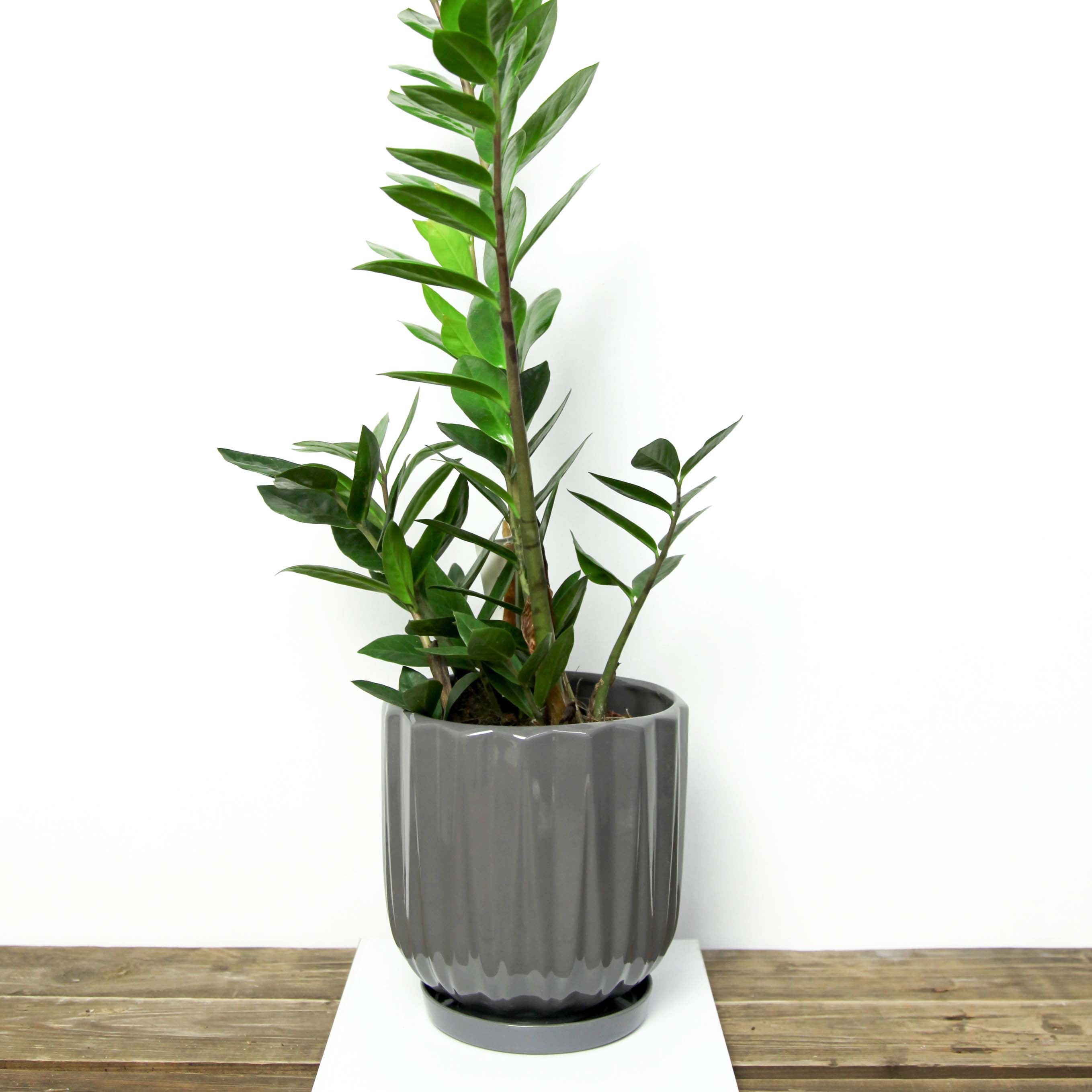 УЦІНКА Горщик керамічний Лілейник 2,6 л Сірий p286