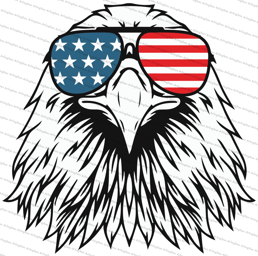 Bald Eagle with American Flag Aviators
