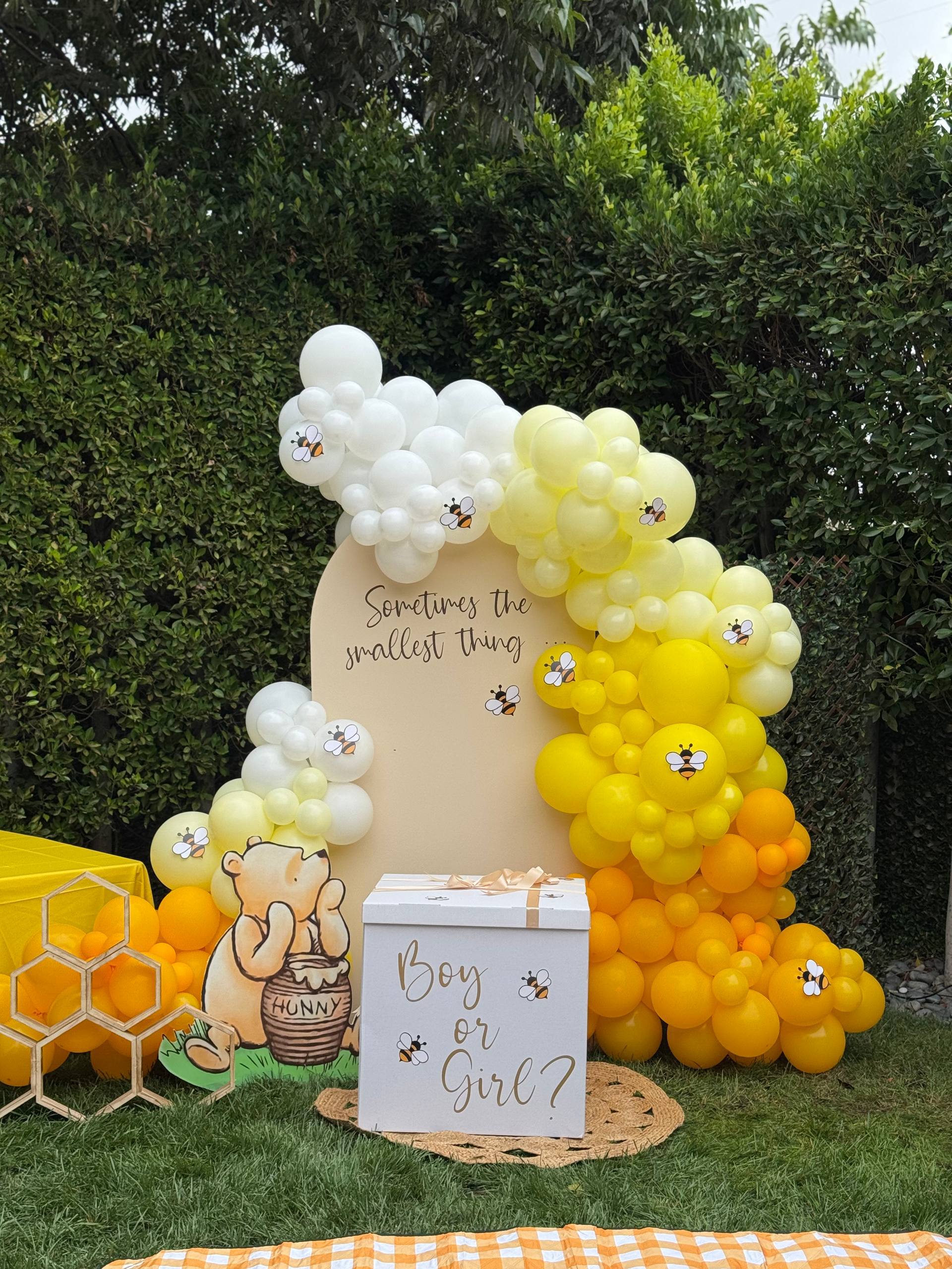 Winnie the Pooh Gender Reveal Backdrop with Surprise Balloon Box
