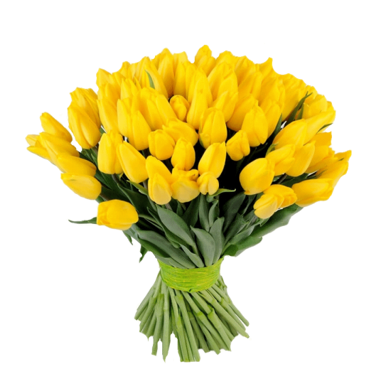 Букет з 75 жовтих тюльпанів