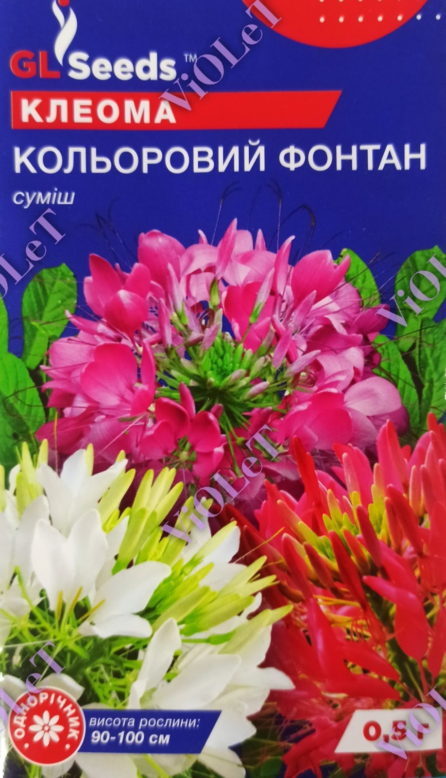 Клеома Кольоровий Фонтан суміш, 0,5 г GL Seeds