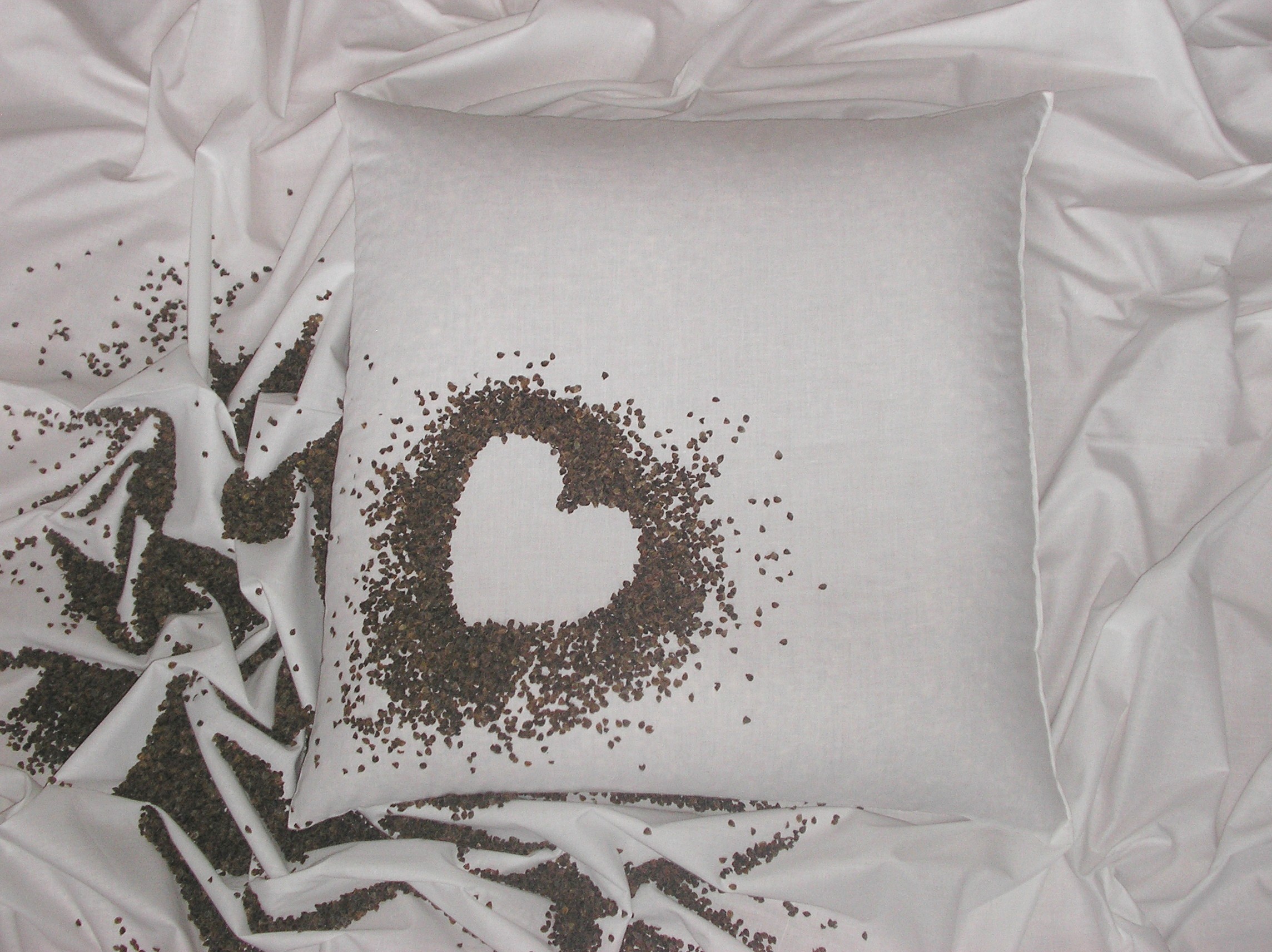 Pohánkový vankúš 50x60cm