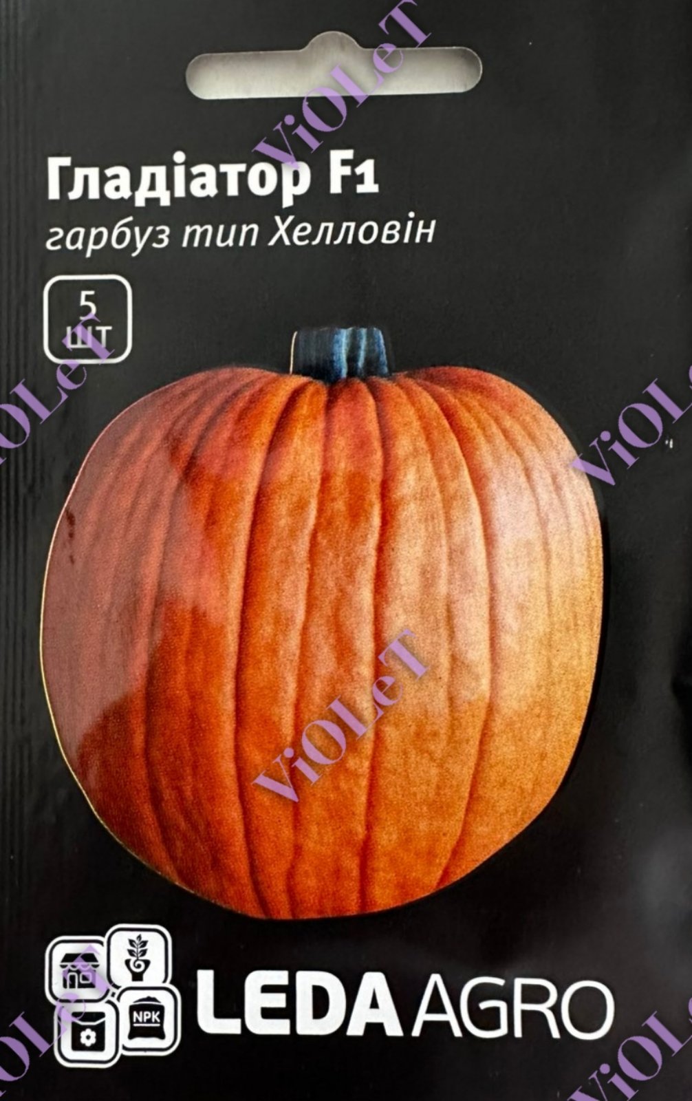 Гладіатор F1, гарбуз тип Хелловін , 5 шт. Leda  Agro