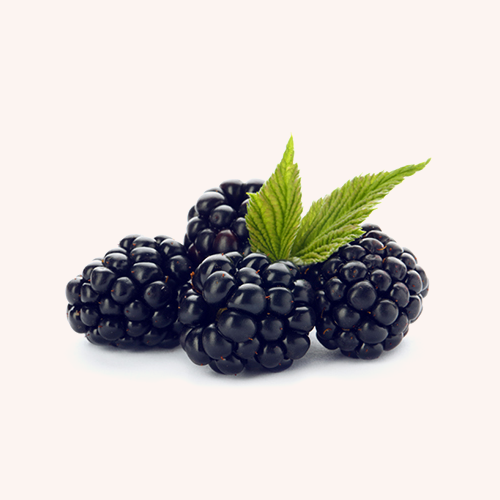 Blackberries