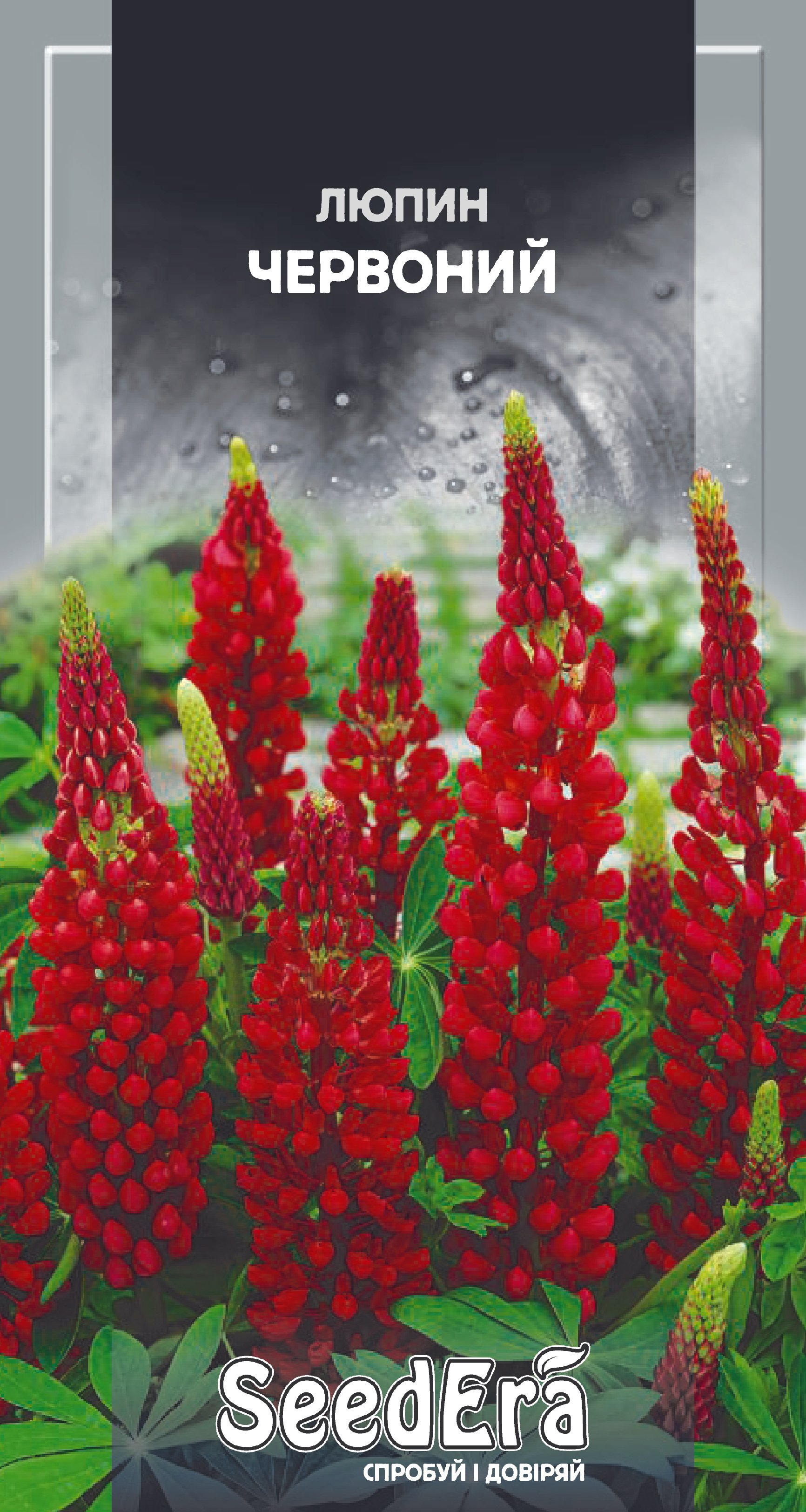 Насіння Квіти Люпин червоний багаторічний, 0,5 г