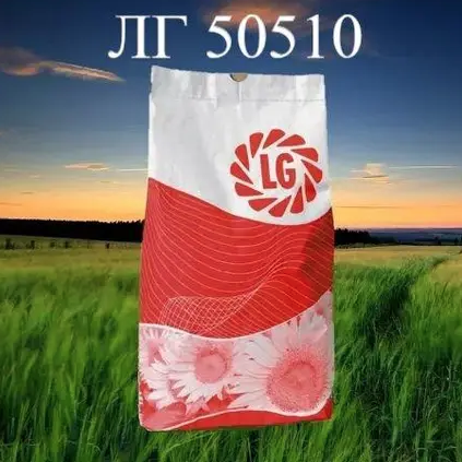 Насіння соняшнику ЛГ 50510 Limagrain, насіння високоврожайного соняшнику Лімагрейн