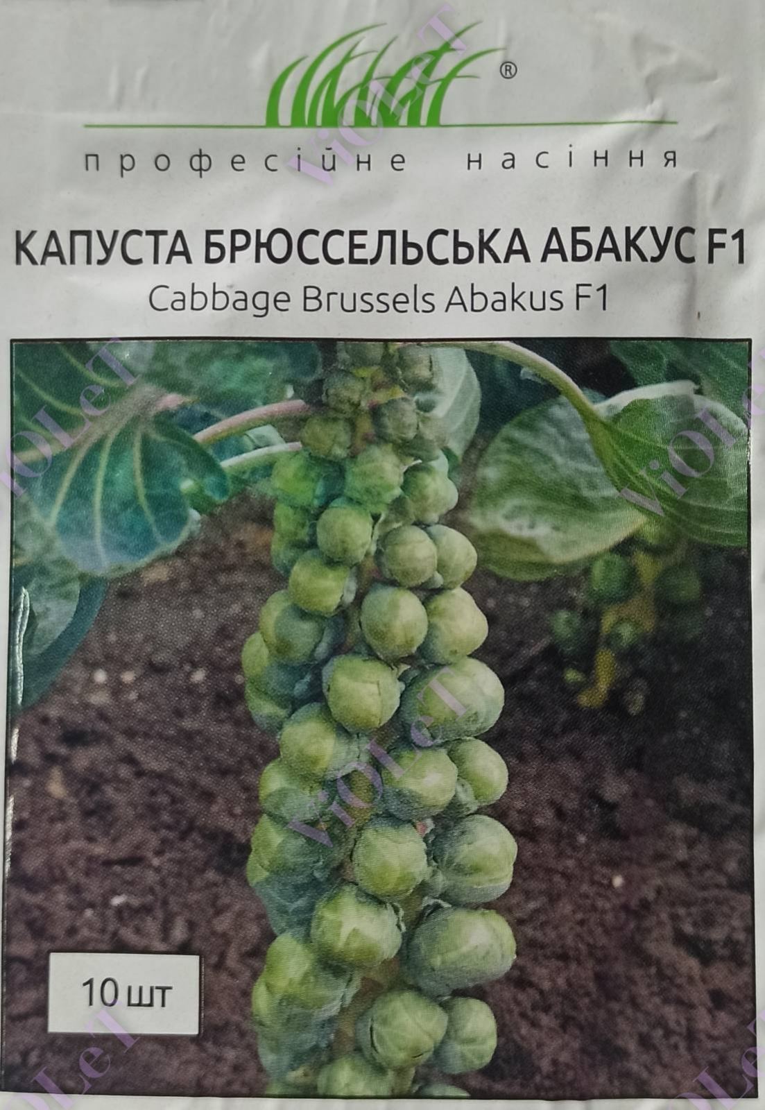 Капуста брюссельська Абакус F1, 10 шт. Професійне насіння