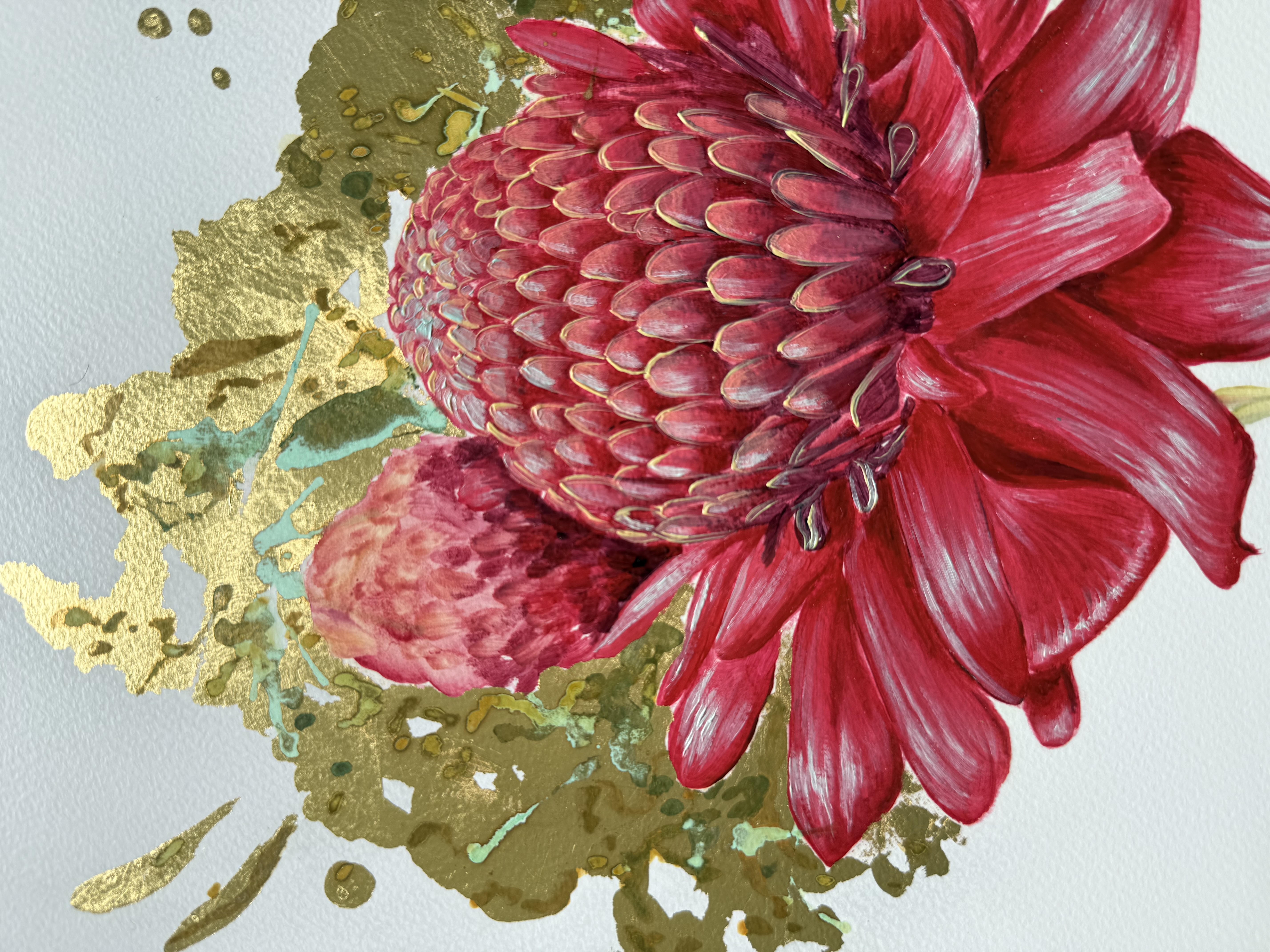 Waratah I