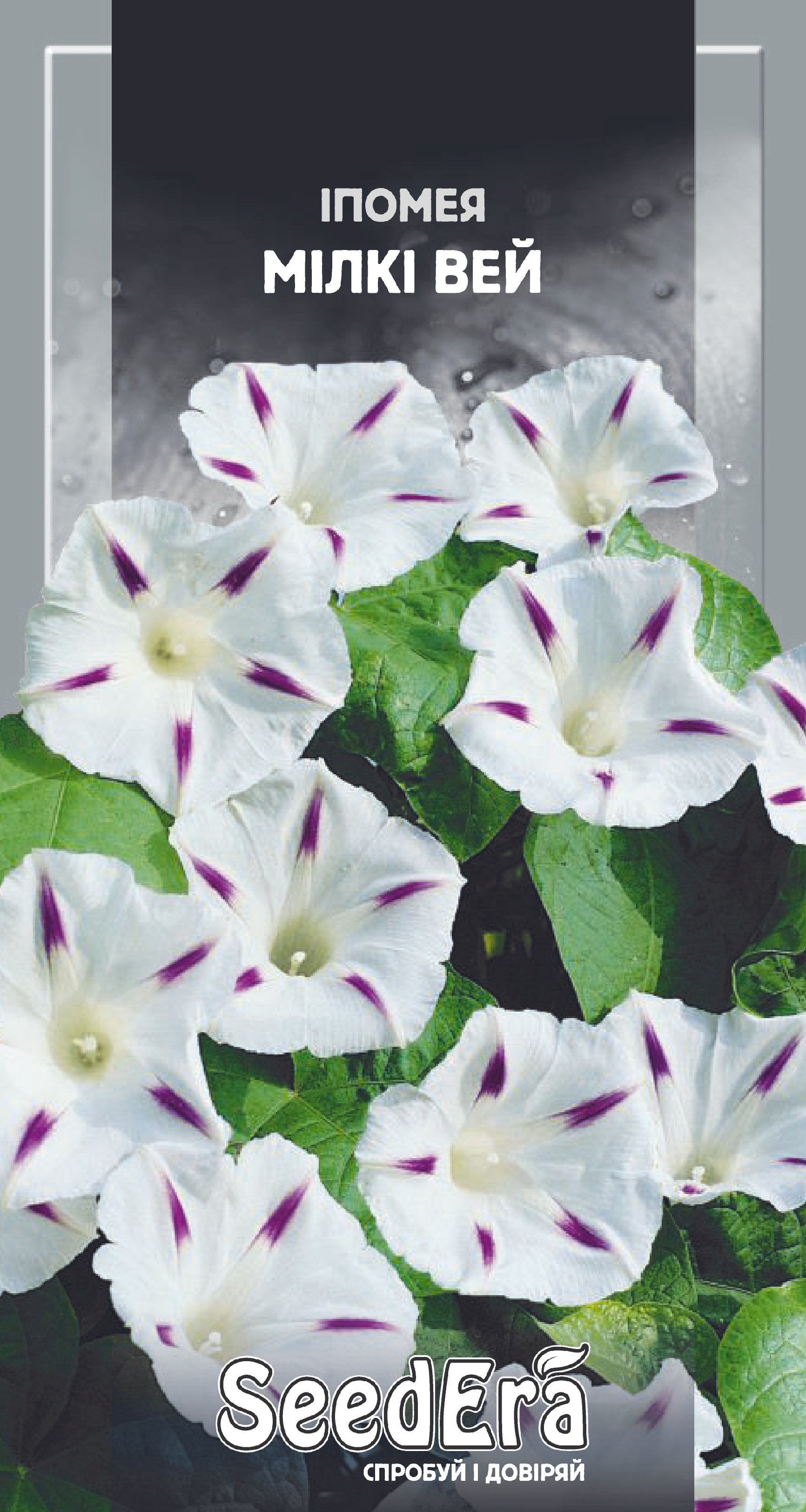 Насіння Квіти Іпомея Мілкі Вей, 1 г