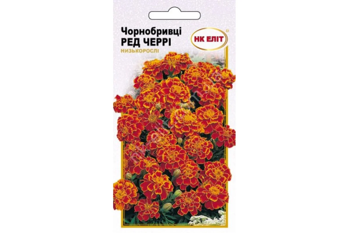Насіння Квіти Чорнобривці Ред Черрі 0,5 г НК Еліт