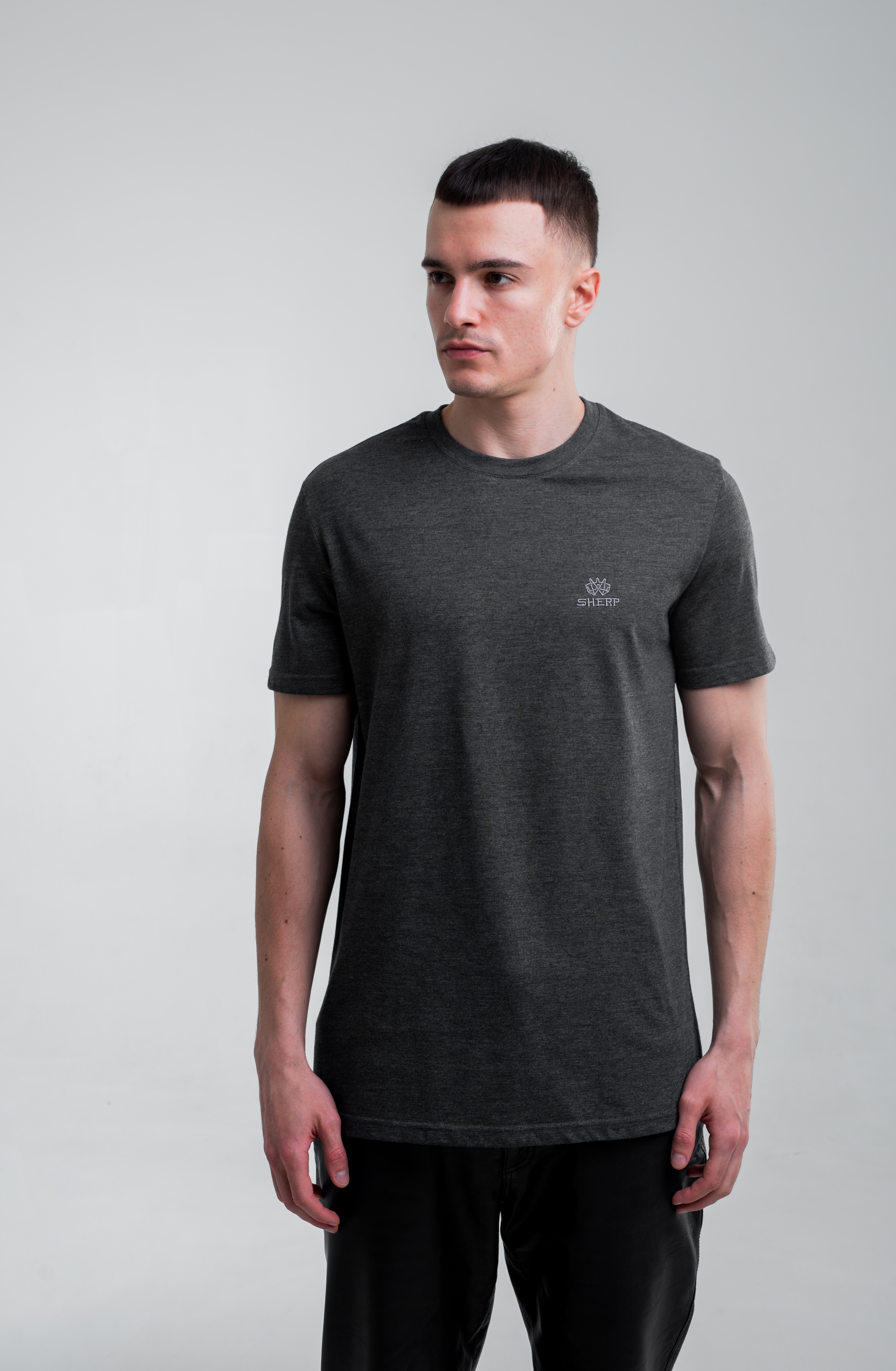 Футболка Sherp "Basic Gray"