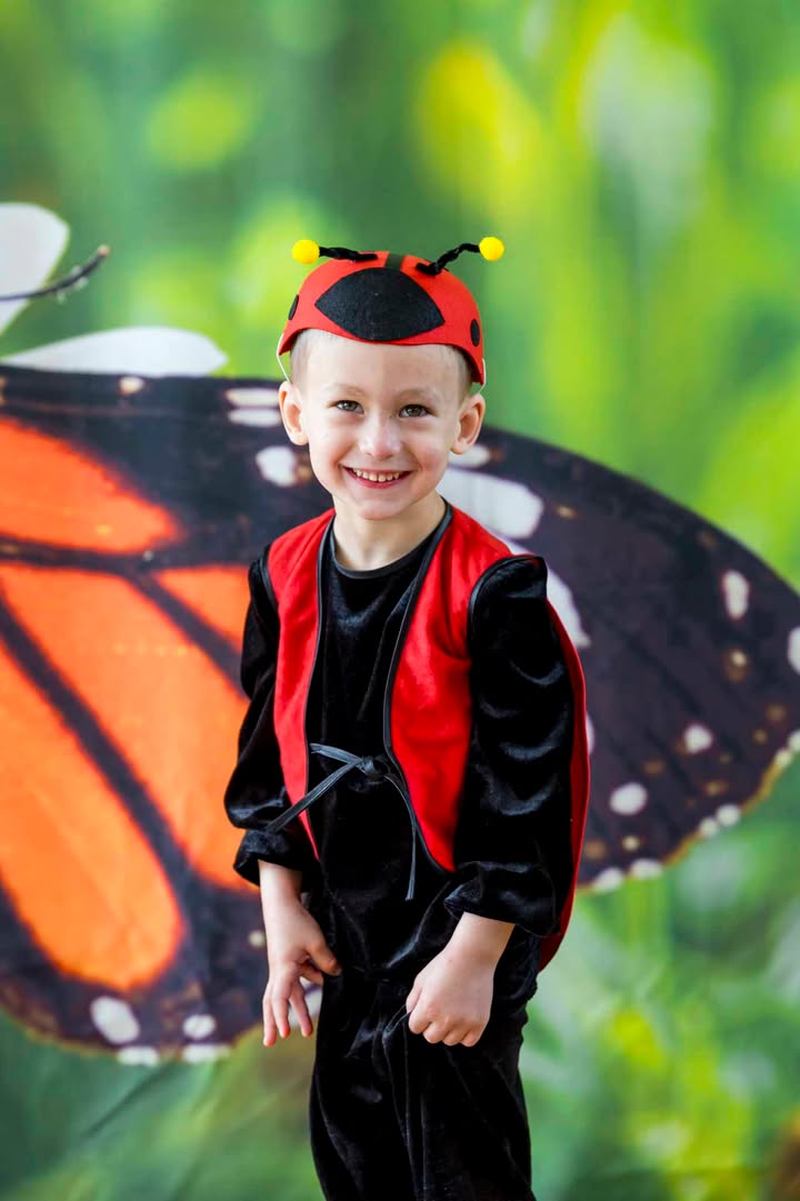 Жук-сонечко 11