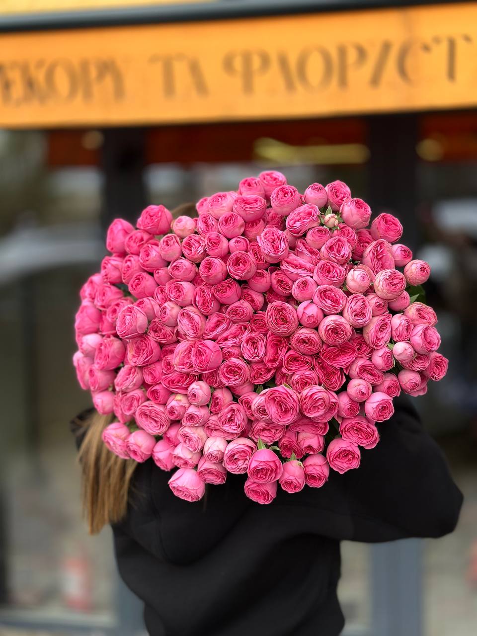 Рожеві кущові троянди сорту Gissel