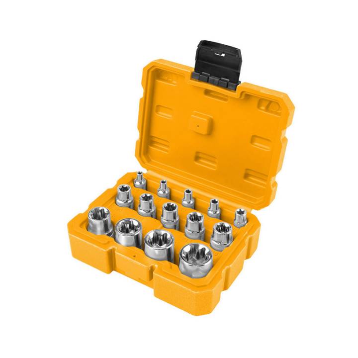 Комплект головок торцевих внутрішній Торкс Е4-Е24, 14 предметів Профі  Толсен