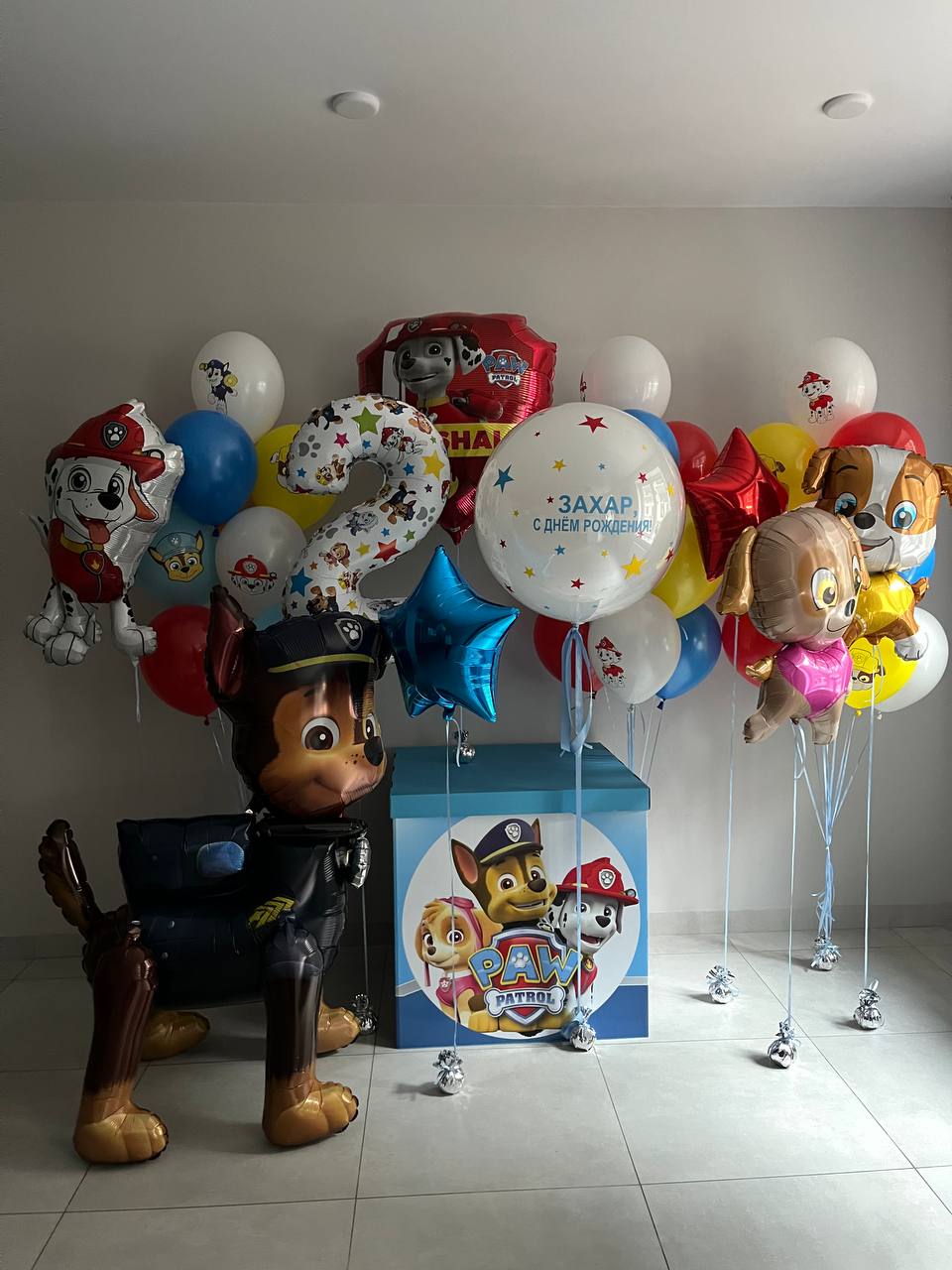 Сет Щенячий патруль