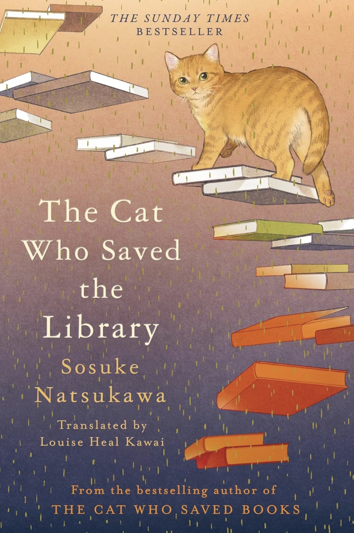 The Cat Who Saved the Library Sosuke Natsukawa