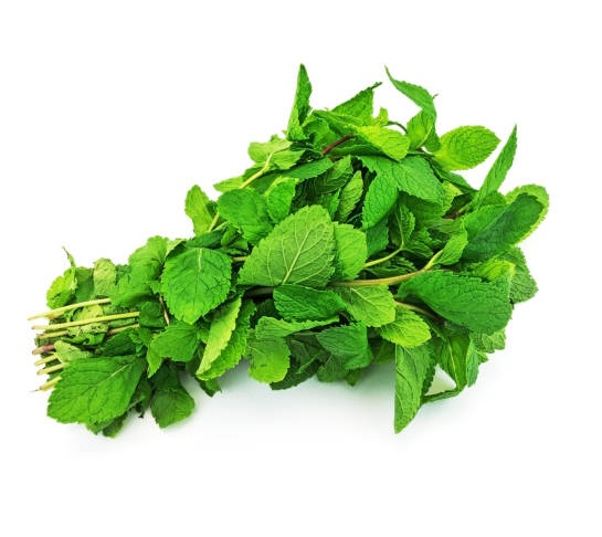 MENTHE FRAÎCHE  BIO 1 BOTTE