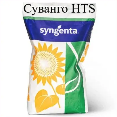 Насіння соняшнику Syngenta Суванго HTS, насіння високоврожайного соняшнику Сингента
