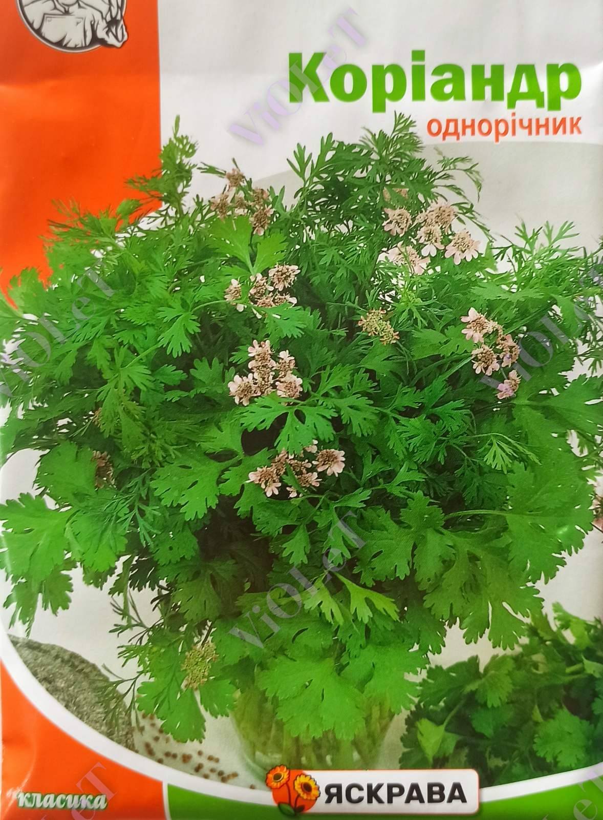 Коріандр, 10 г, ТМ Яскрава