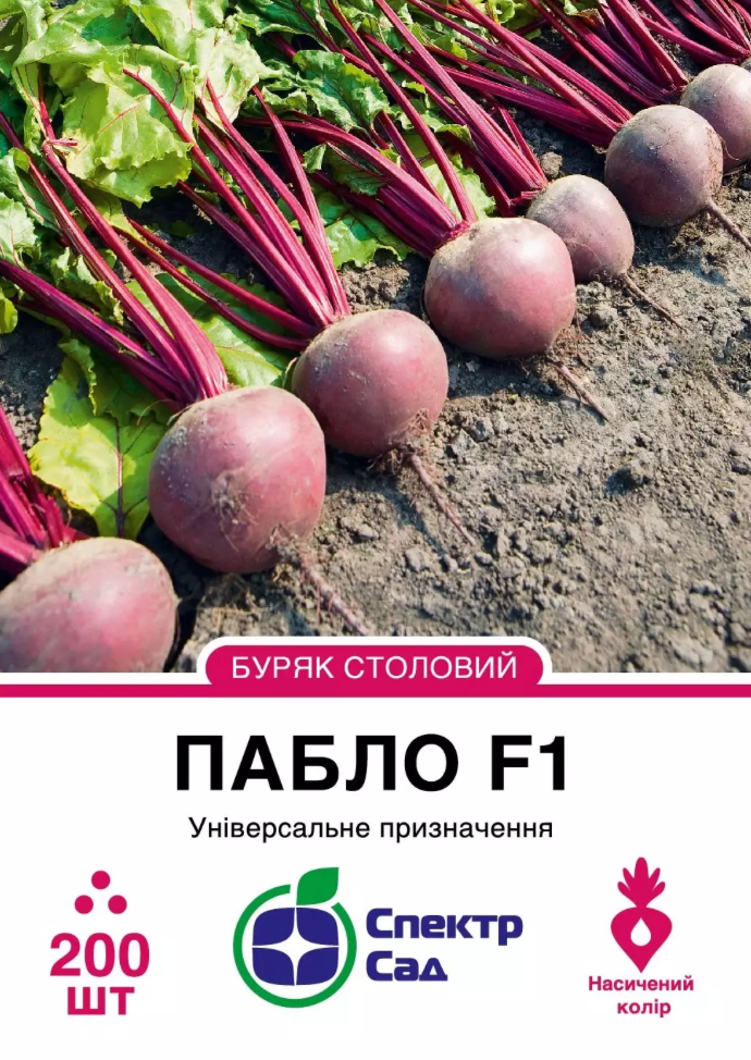 Столовий буряк Пабло F1, 200 шт
