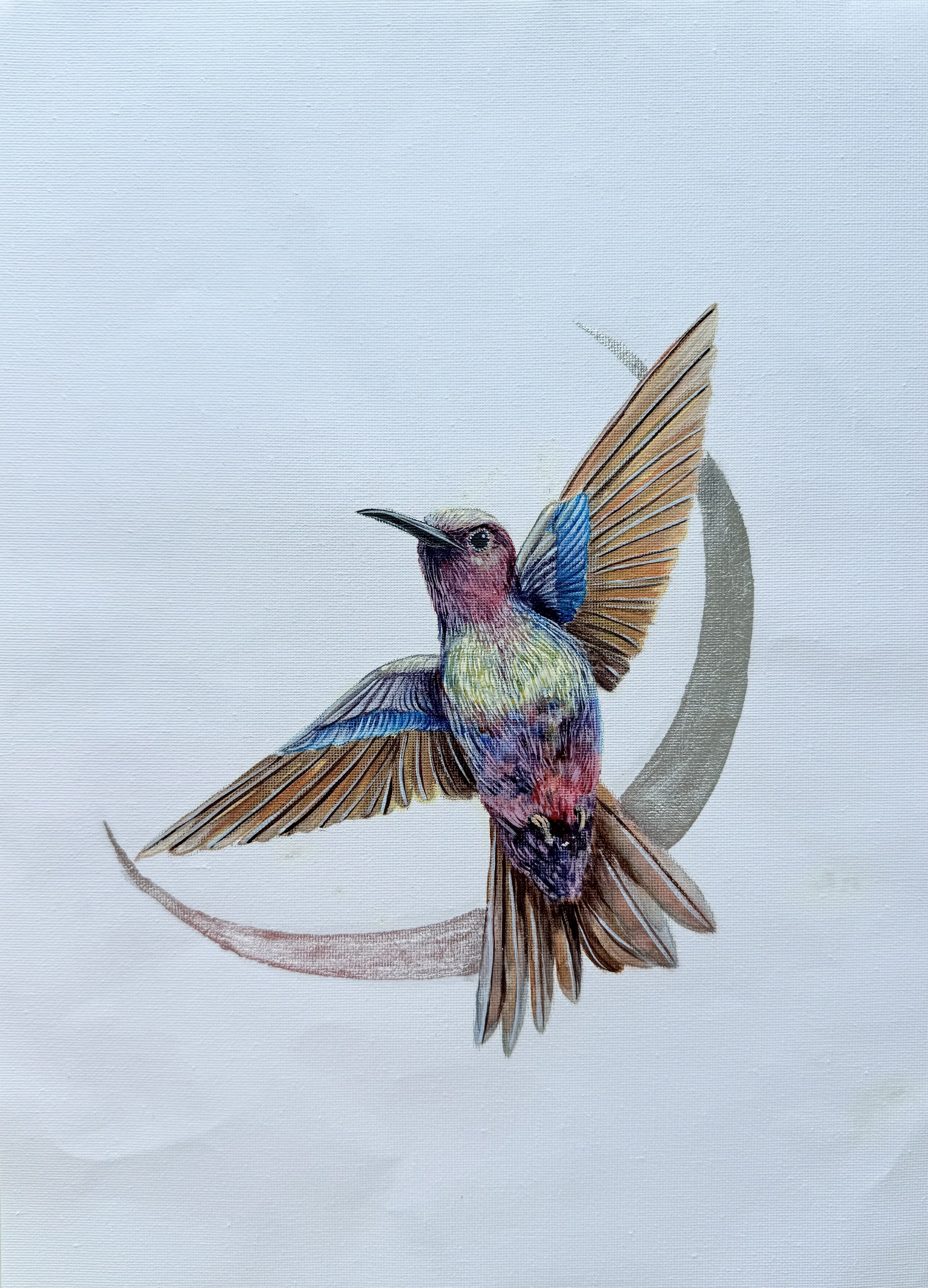 Hummingbird