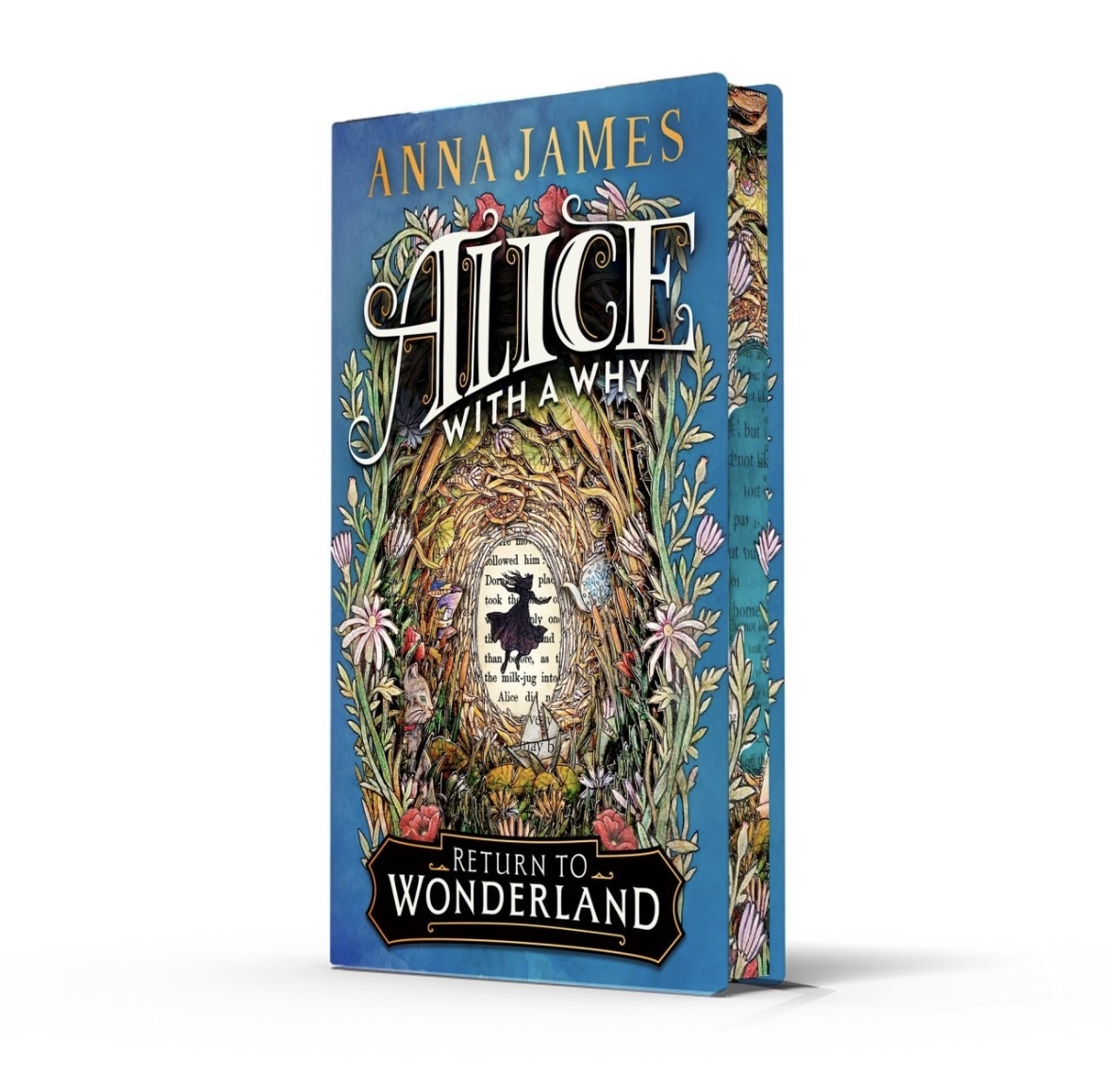 Alice With a Why Anna James Exclusive Edition