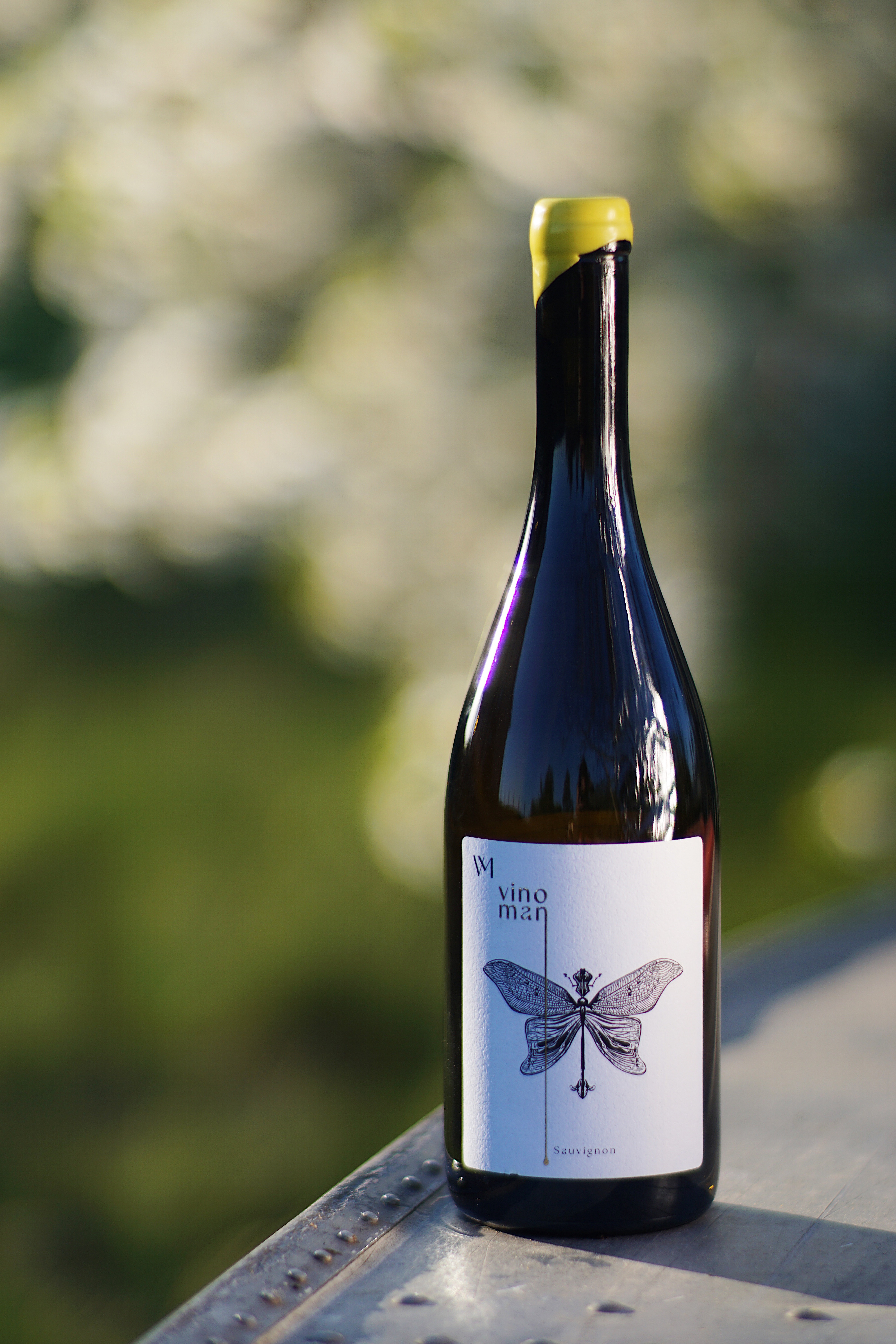 SAUVIGNON  2024