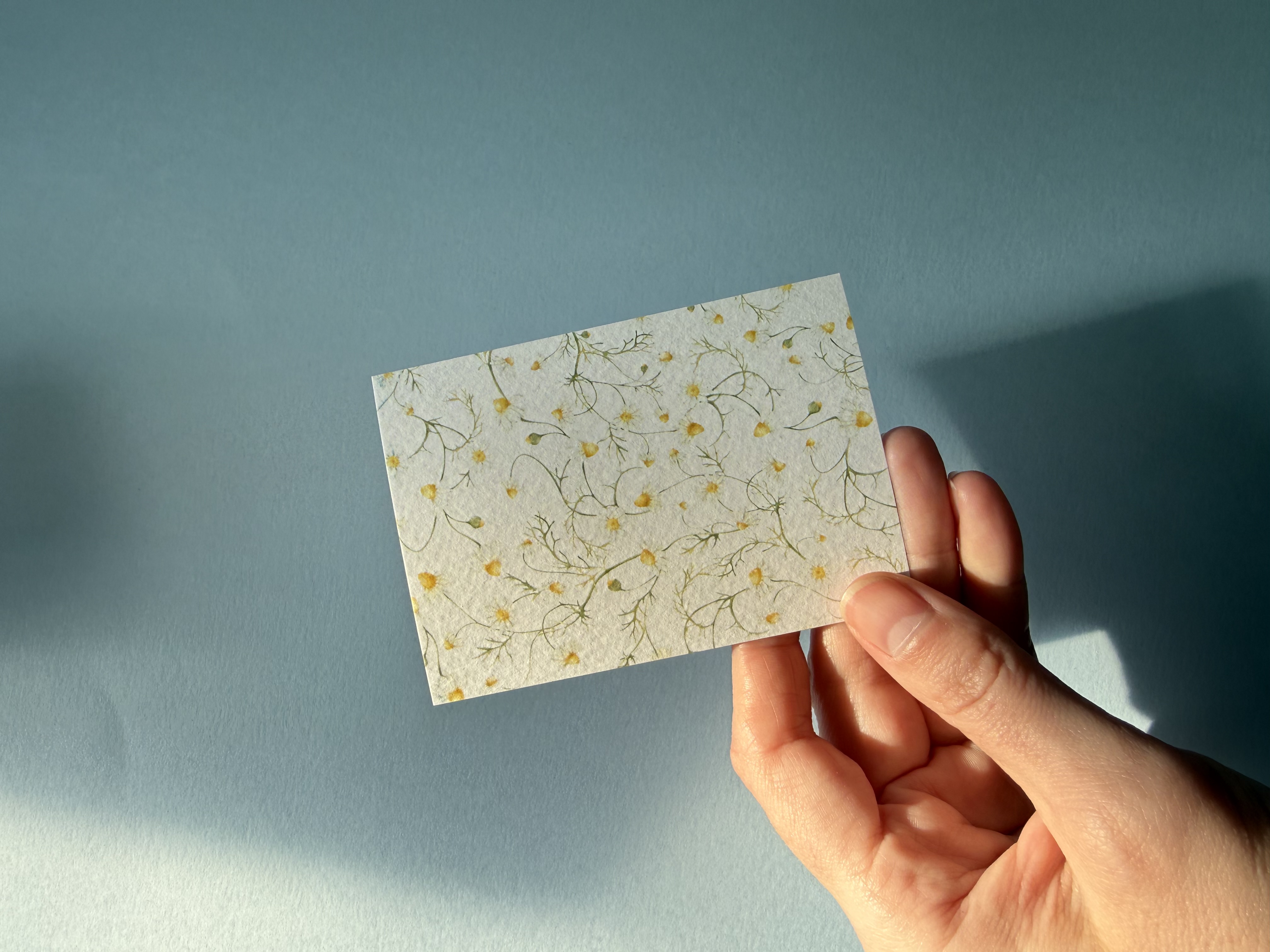 Листівка M5300