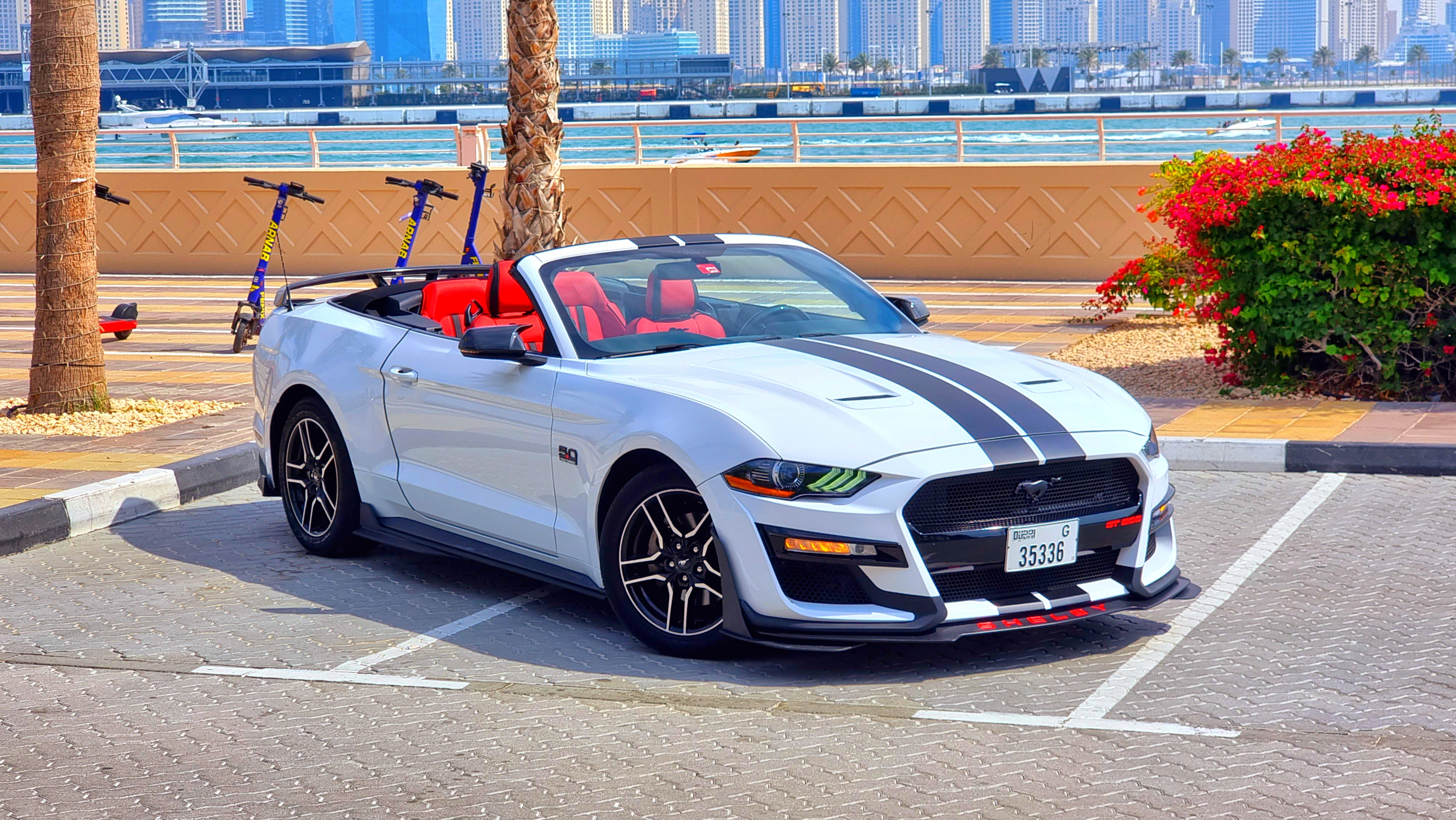 FORD MUSTANG SHELBY PREMIUM CABRIOLET