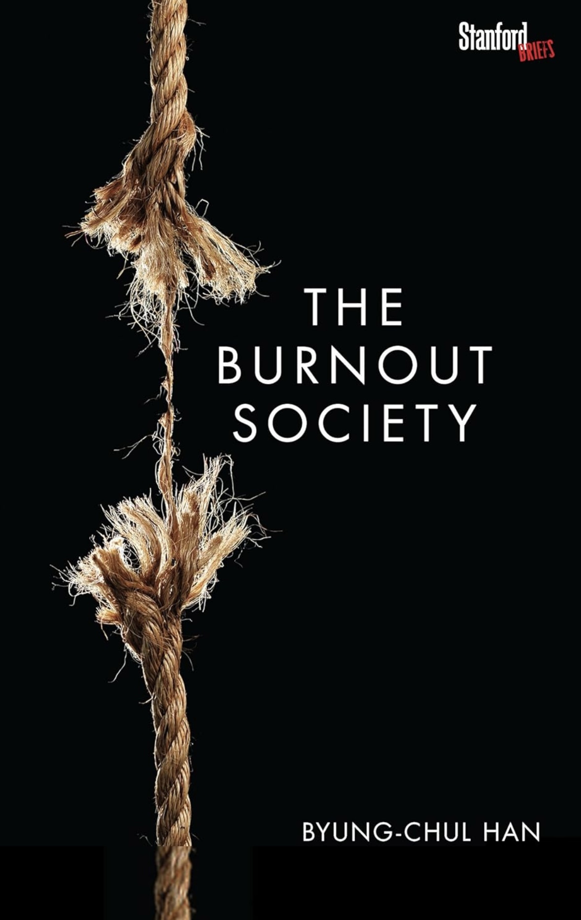 The Burnout Society Byung-Chul Han