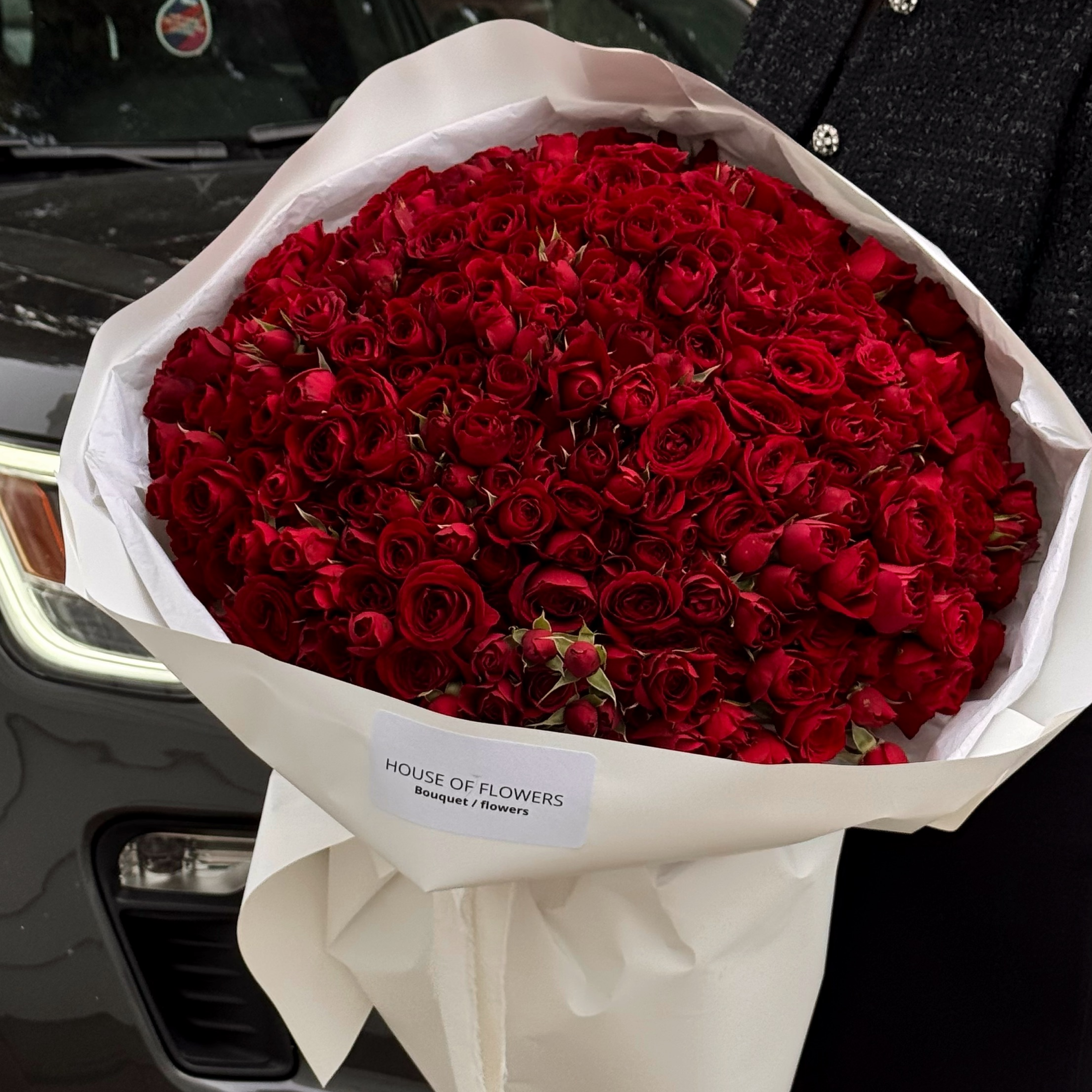 Monobouquet of red bush roses 150 pieces
