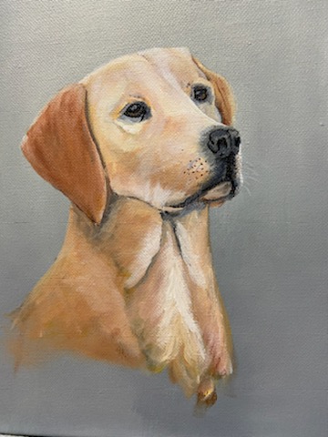 Golden Lab - Original Acrylic Painting