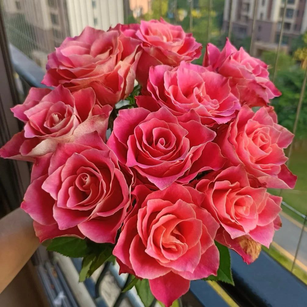 Японська Казка (Japanese Tale)