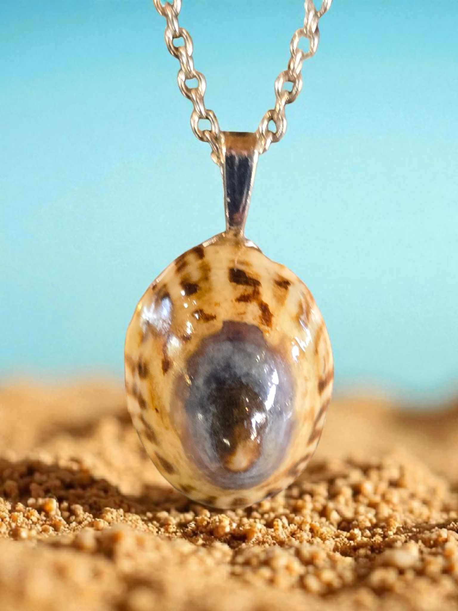 Limpet Shell Necklace