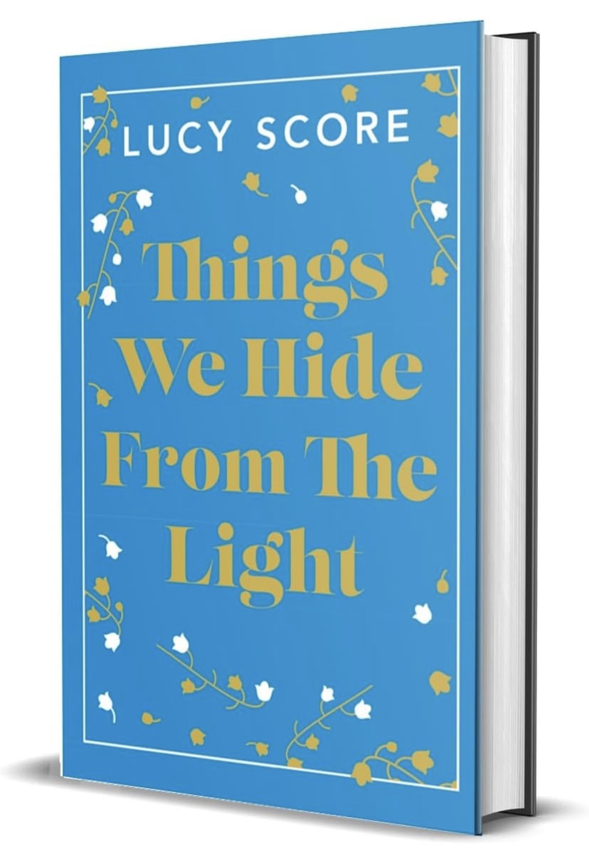 Things We Hide From The Light Lucy Score