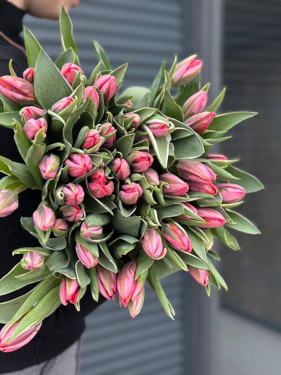 Тюльпан рожевий голандія 40-45см